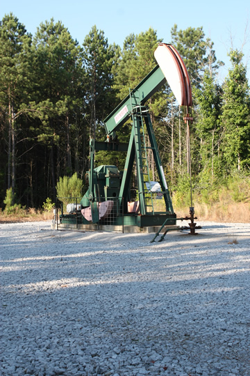 one of many gas wells on Forever Wild land